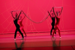 Tangled Web